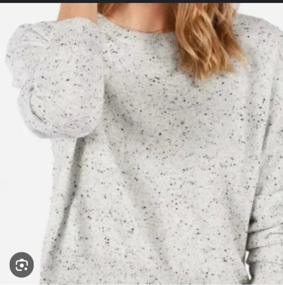 Everlane Sweaters - Everlane Cashmere Speckled Crew Neck Sweater